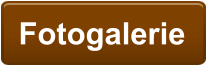 Fotogalerie